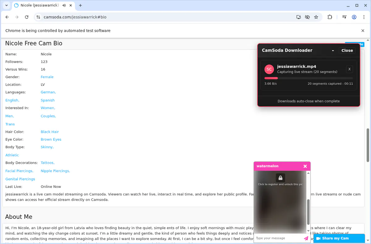 Camsoda Video Downloader browser extension screenshot 4